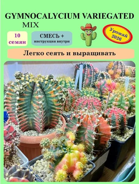 Семена