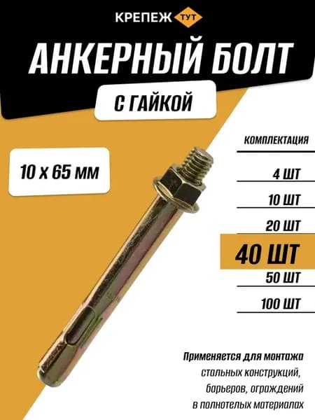 Анкерный болт с гайкой 10х65мм, 40 шт