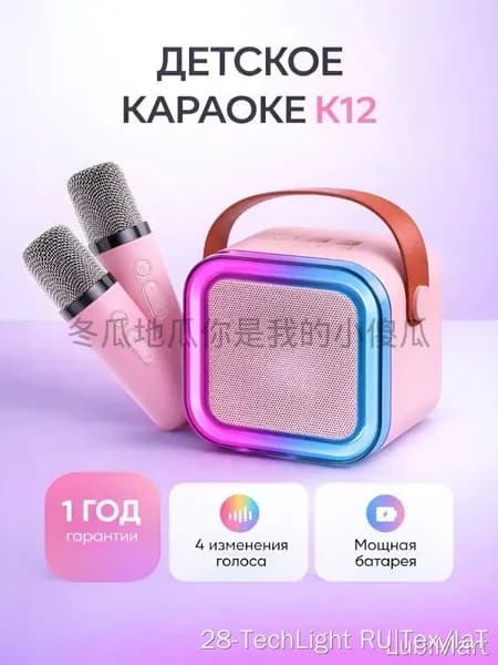 Детская караоке система с двумя беспроводными микрофонами и колонкой