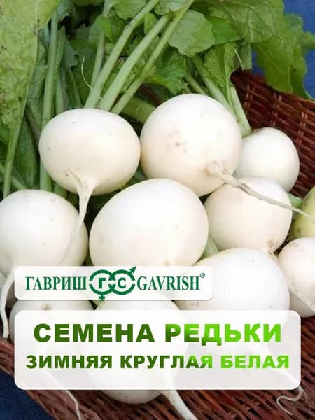 Семена Редька "Зимняя круглая белая" 1,0 г, для дачи, сада и огорода, в открытый грунт, для теплиц и парников