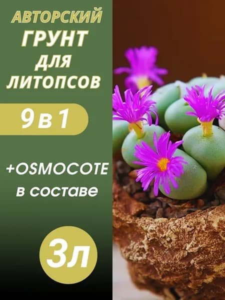 Грунт для Литопсов 3л готовый