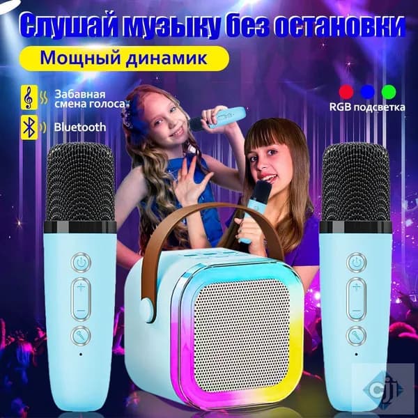 Портативная караоке система с 2 микрофонами