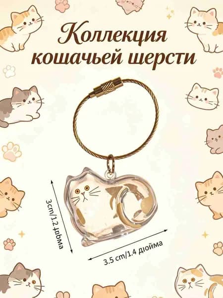 Прозрачный ящик для хранения волос и бороды милого котенка