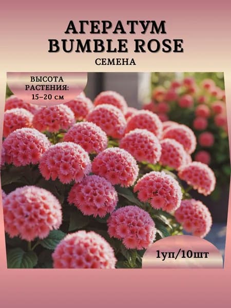Агератум "Bumble Rose F1" семена, 1 пачка