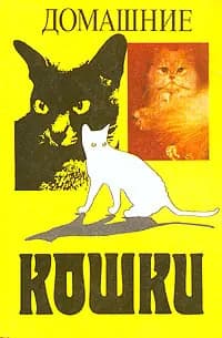 Домашние кошки