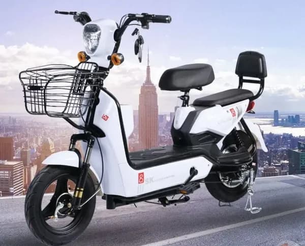Электроскутер SK8 gisin 600 ватт, 48/12 ah, белый