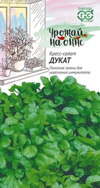 Кресс-салат "Дукат" семена Урожай на окне, для домашнего проращивания и для круглогодичного выращивания на балконе и подоконнике