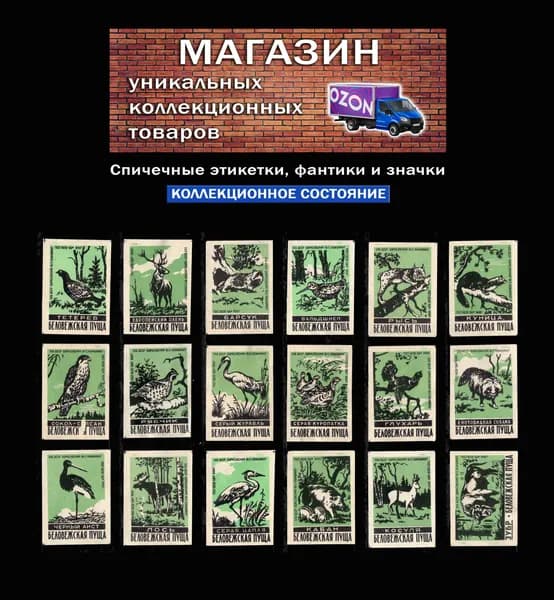 Спичечные этикетки СССР. 1960 год. Беловежская пуща. Заповедник. Фауна. Борисовский спичечный комбинат.
