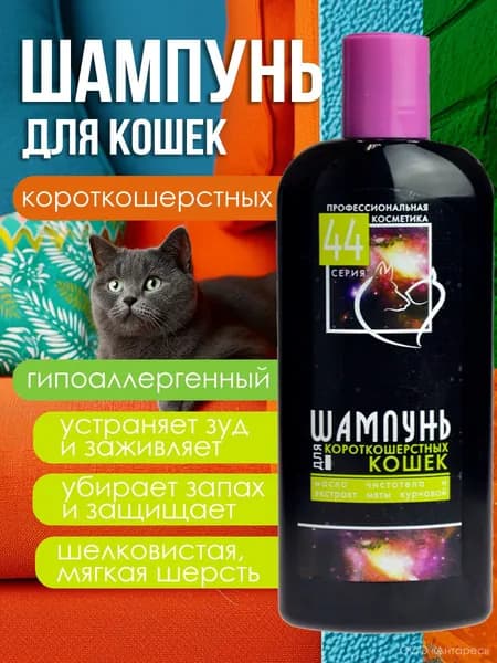 Шампунь для короткошерстных кошек