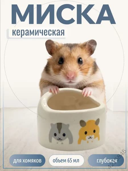 Миска для животных