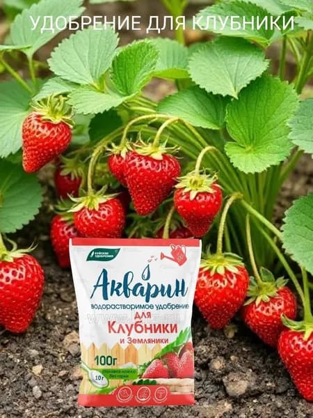 Удобрение