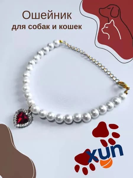 Ошейник