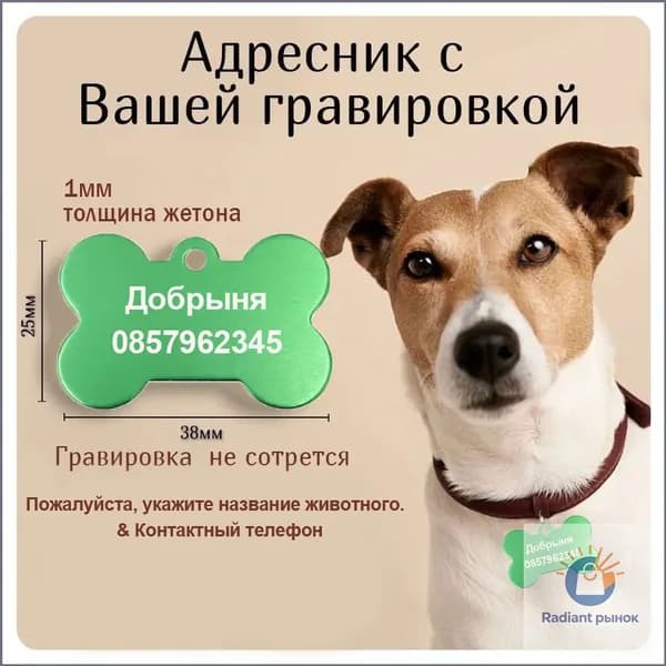 Адресник для собак и кошек с гравировкой большая зелёная Косточка 38*25мм Индивидуальная настройка