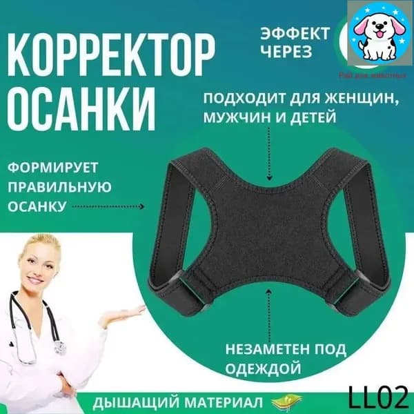 Мини-тренажер ozon#4158856778
