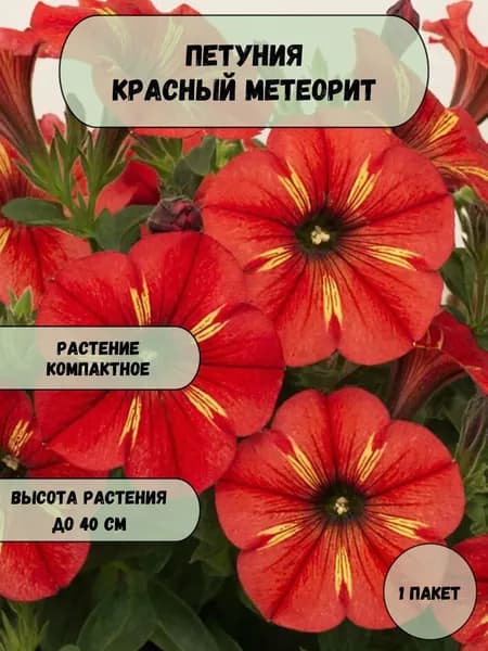 Петуния Красный метеорит семена 10 шт