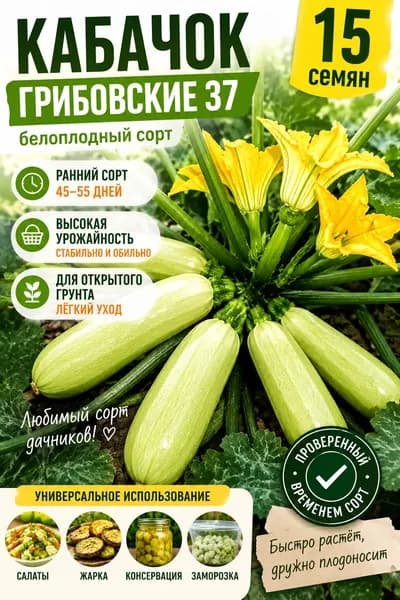 Семена кабачка Грибовский 37 белоплодный ранний урожайный сорт для открытого грунта 15 семян