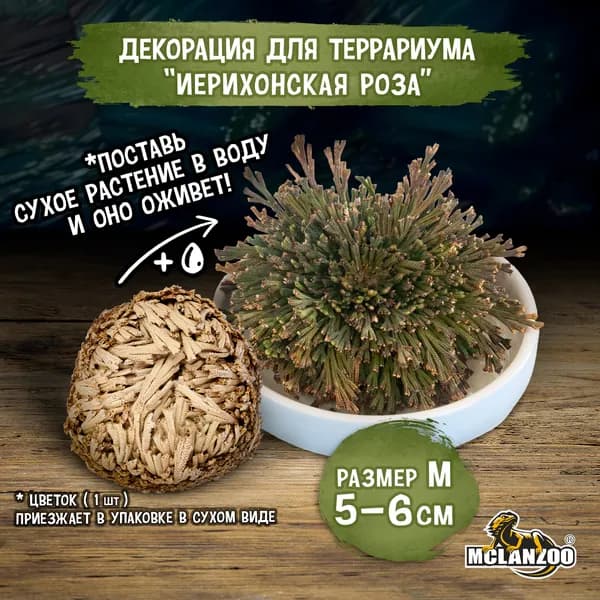 Декорация для аквариума/террариума