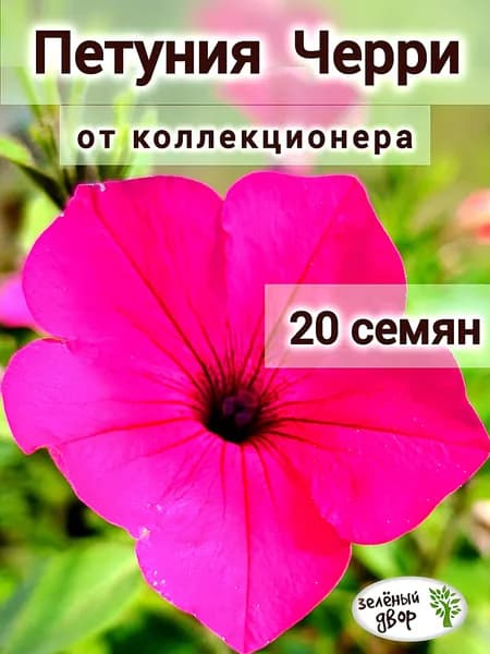 Семена Петунии Черри