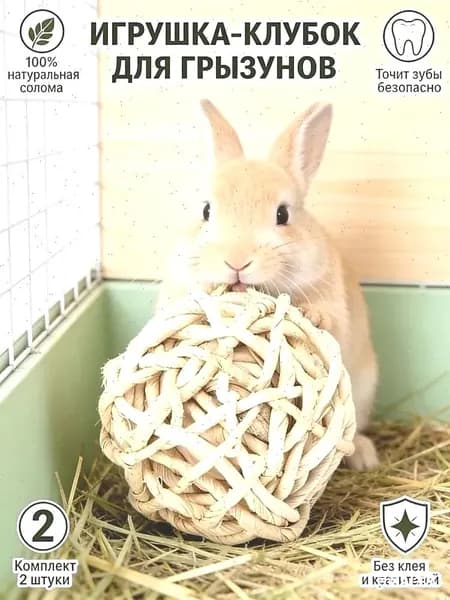 Травяной шар для грызунов 2 шт., игрушка-лакомство из тимофеевки, шар для сточки зубов, натуральная погрызушка для кролика и морской свинки, сено