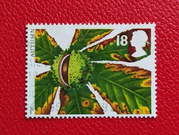 Марки Великобритании 1993. Осенние фрукты: "Конский каштан "Horse Chestnut"" . Гашение - см фото