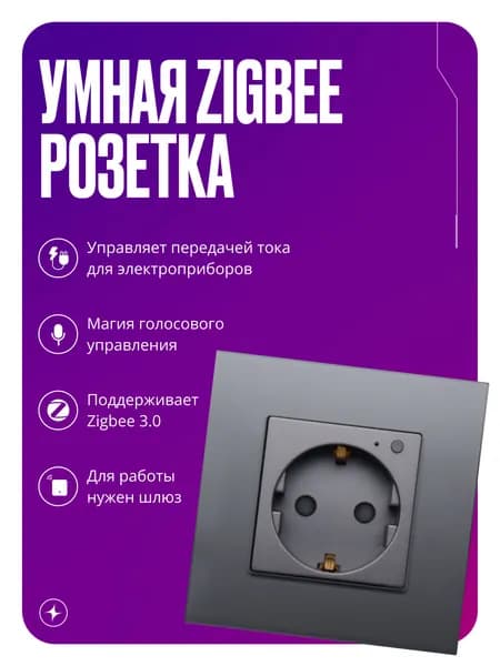 Умная Zigbee розетка на 16А для круглого подрозетника, с заземлением и шторками, в стеклянной рамке, серая