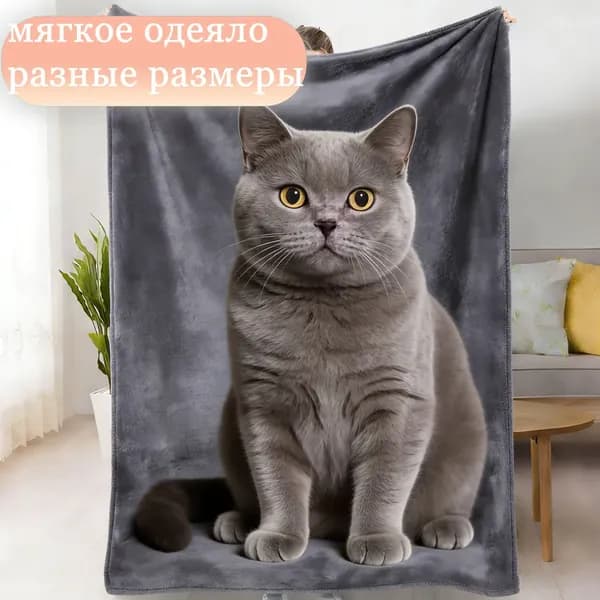 Плед плюшевый , 70 см х 100 см