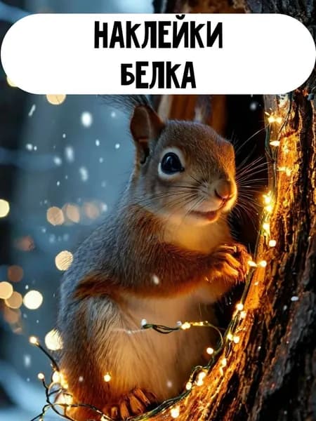 Набор наклеек стикеров Белка 16 штук