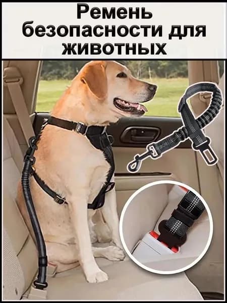 Усиленный, универсальный автомобильный ремень безопасности для животных, для малых пород с амортизацией. Длина 35-75см