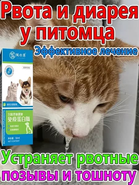 Рвота у кошки