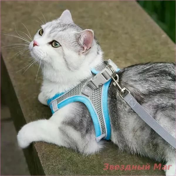 Регулируемая дышащая шлейка для собак и кошек,с поводком