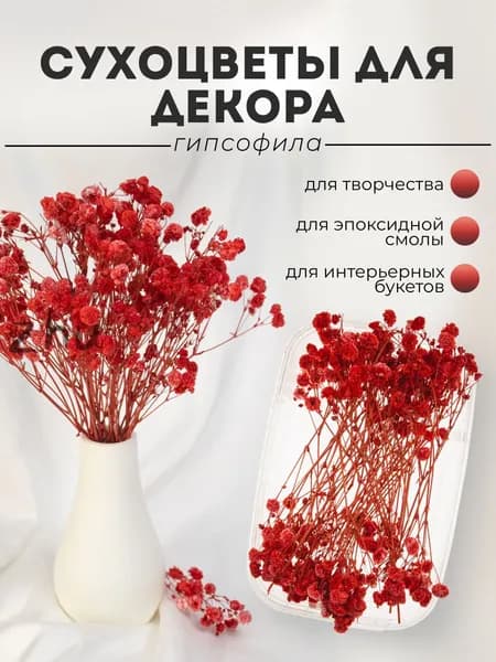 Сухоцветы Гипсофила, 1 шт
