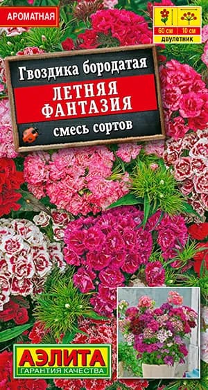 Семена Гвоздика Летняя Фантазия, смесь окрасок (0,3г) - Аэлита