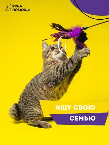 Помочь Одесситу найти дом