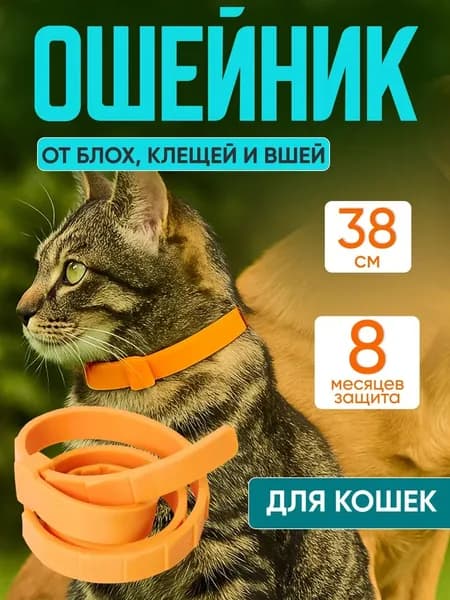 Ошейник для кошек от блох и клещей
