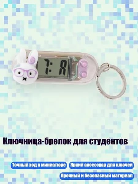 Ключница-брелок для студентов, Фиолетовый