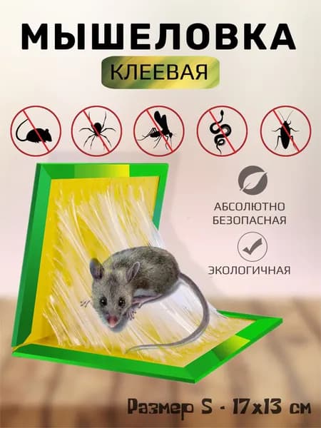Мышеловка 17х12