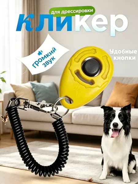 Кликер для дрессировки собак браслет, оранжевый