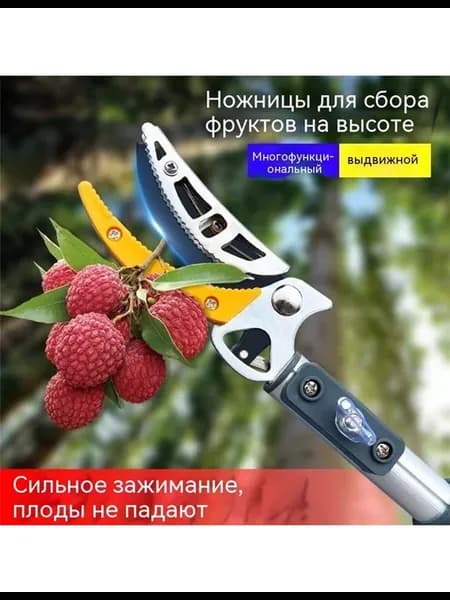 Масштабная садовая высотная резка для сбора фруктов