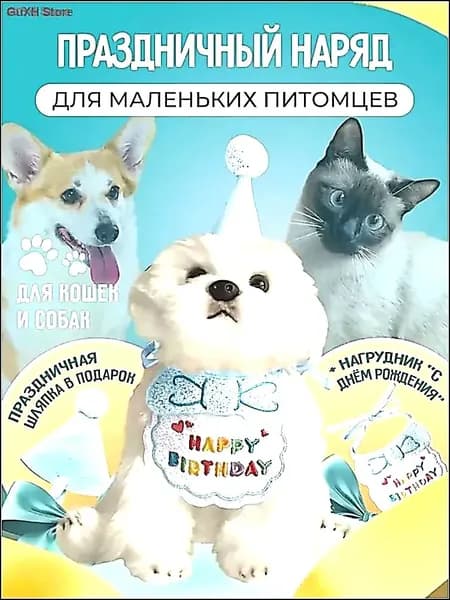 Ошейник и колпак для кошки и собаки на День Рождения