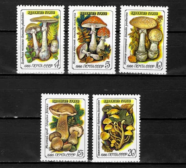Почтовые марки 1986 СССР №5724-28, Ядовитые грибы - Марка п/с, MNH