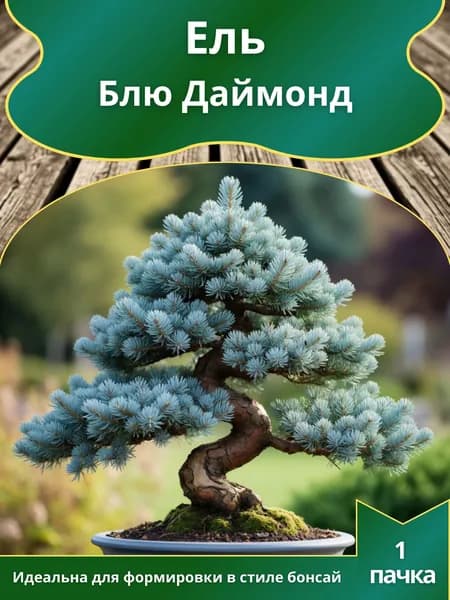 Ель Блю Даймонд , семена 10 шт. (бонсай)