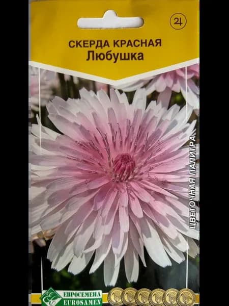 Скерда Любушка 0,1 гр