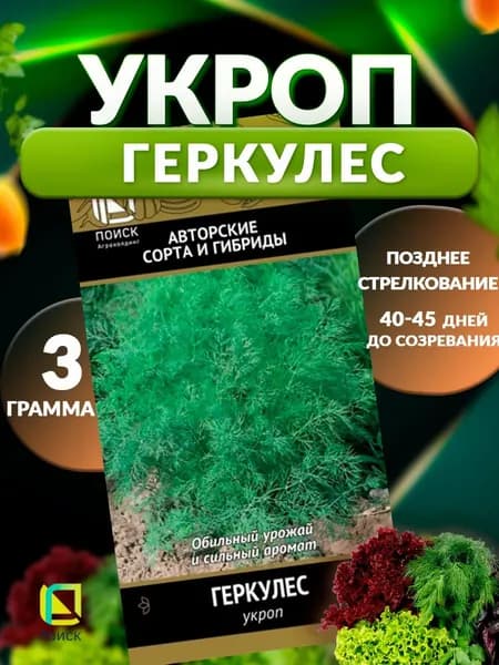 Укроп Геркулес