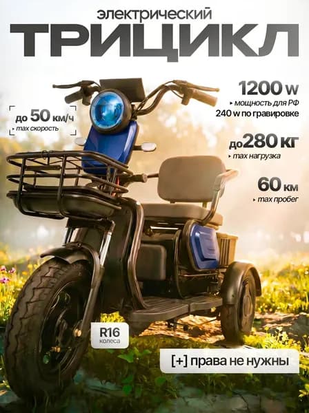 Универсальный электротрицикл с багажником для всей семьи, 1200W, до 55 км/ч