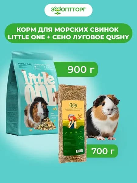 Комбо-набор Корм для морских свинок + Сено для грызунов