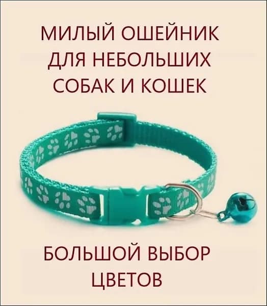 Ошейник для кошек и собак мелких пород с колокольчиком. Мятный зеленый.
