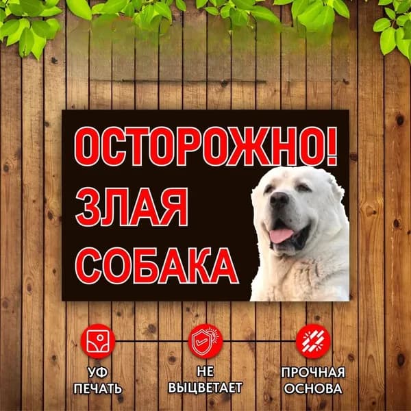 Табличка Осторожно! Злая собака Алабай