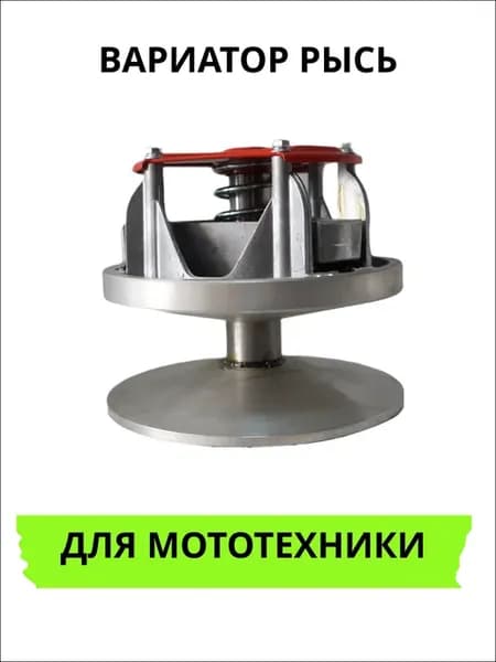 Вариатор Рысь