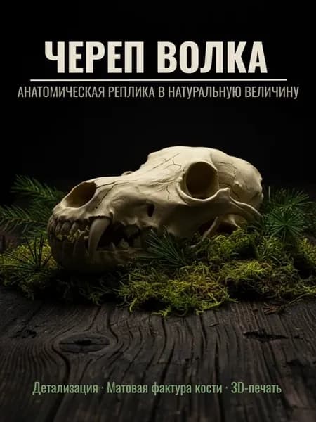 Череп волка. Декоративная реплика в натуральную величину
