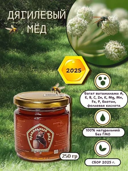 Мёд натуральный Дягилевый 250гр. (сбор 2025г.), Правильный мёд